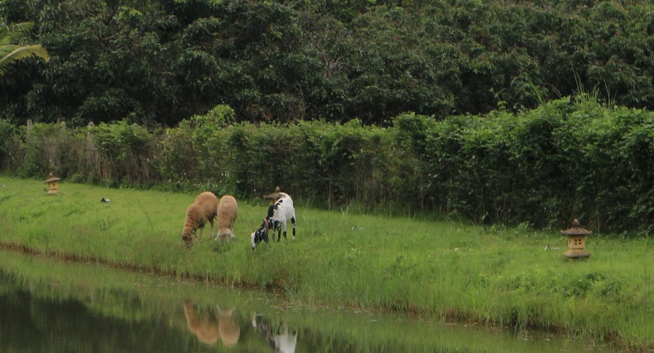 Kalaka Homestay San Sai Bagian luar foto